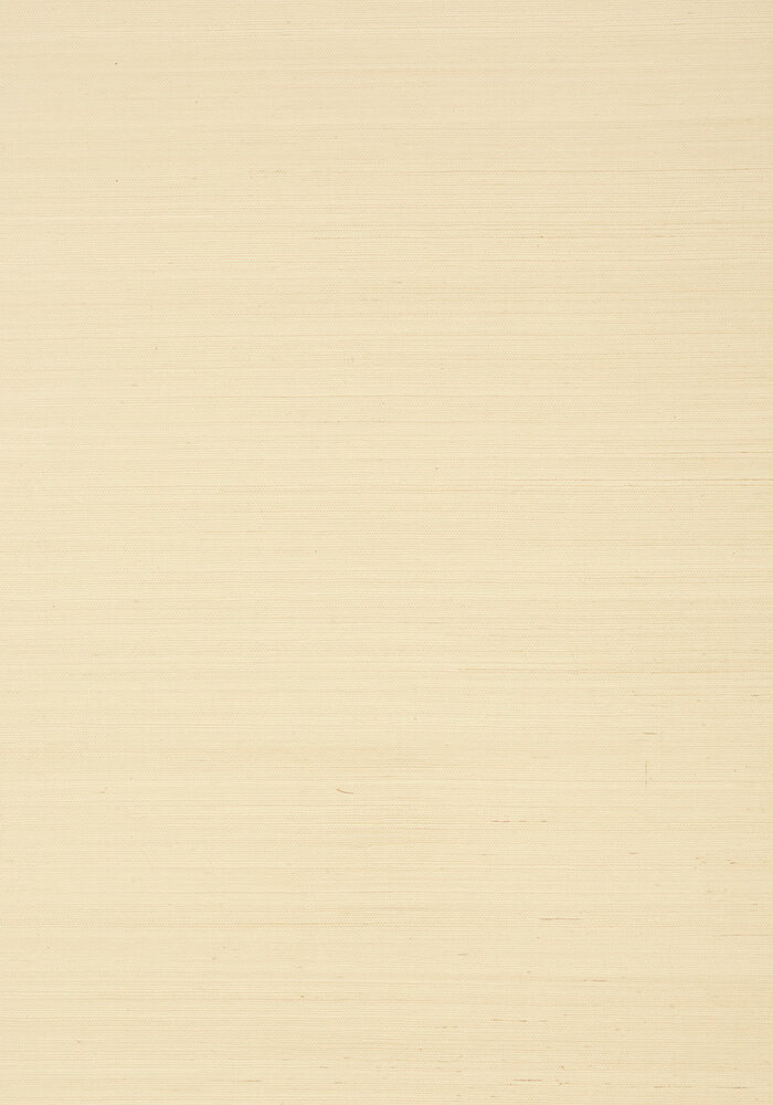 Shang Extra Fine Sisal Behang Thibaut Grasscloth Resource Volume 4 T41159 Beige