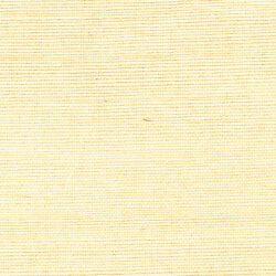 Shang Extra Fine Sisal Behang Thibaut Grasscloth Resource Volume 4 T5029 Vanilla