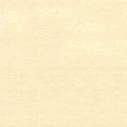 Shang Extra Fine Sisal Behang Thibaut Grasscloth Resource Volume 4 T5029 Vanilla