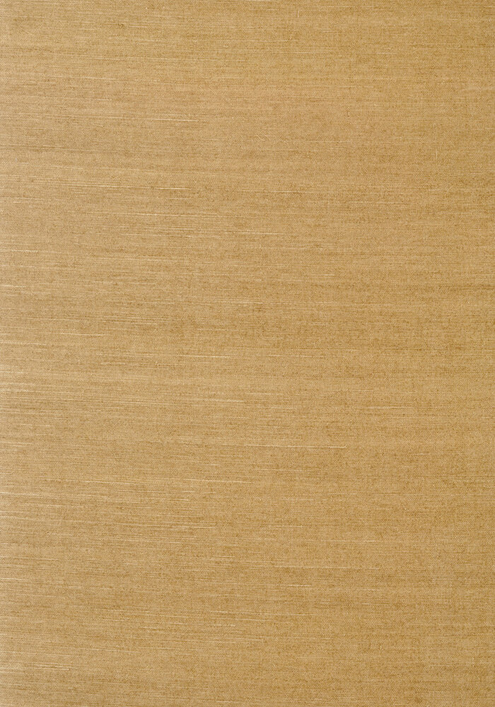 Shang Extra Fine Sisal Behang Thibaut Grasscloth Resource Volume 4 T41172 Wood