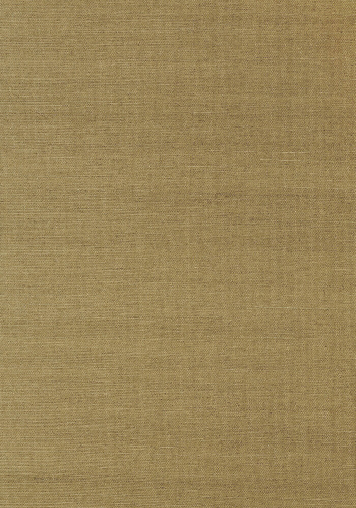 Shang Extra Fine Sisal Behang Thibaut Grasscloth Resource Volume 4 T41177 Khaki