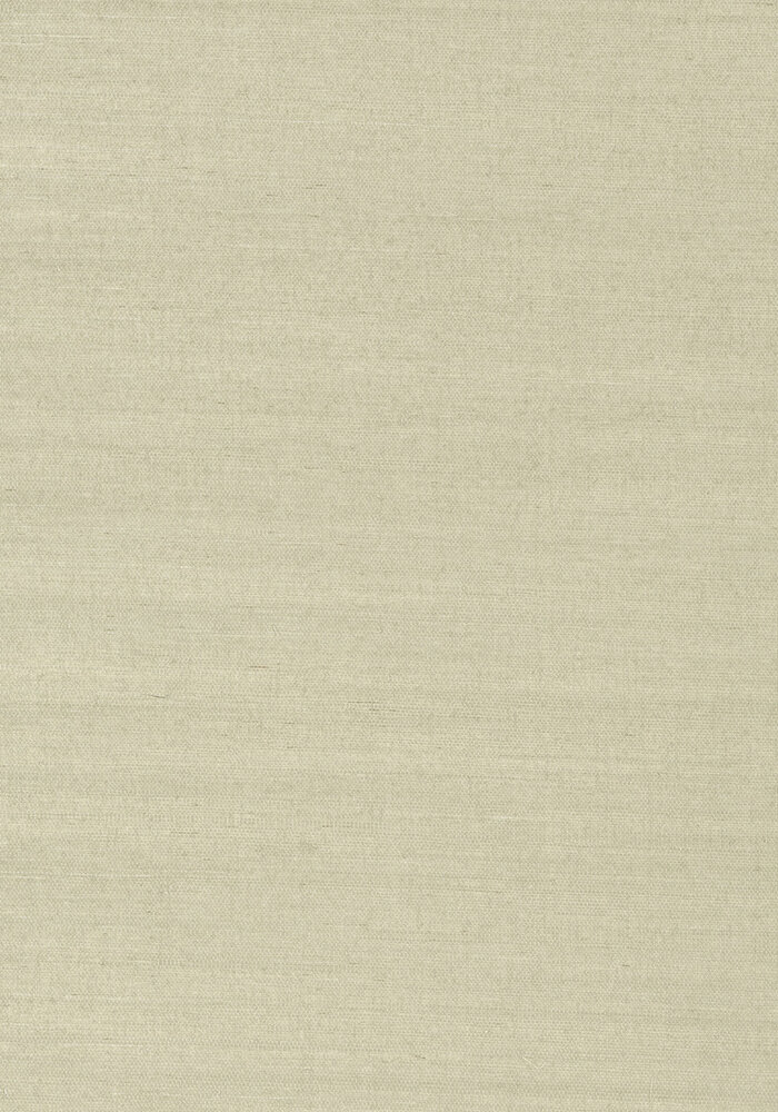 Shang Extra Fine Sisal Behang Thibaut Grasscloth Resource Volume 4 T41167 Light Sage