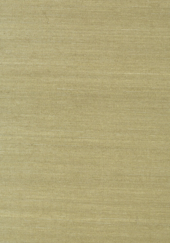 Shang Extra Fine Sisal Behang Thibaut Grasscloth Resource Volume 4 T41166 Moss