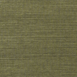 Shang Extra Fine Sisal Behang Thibaut Grasscloth Resource Volume 4 T5027 Avocado
