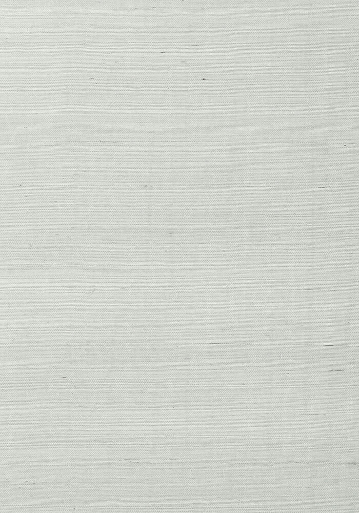Shang Extra Fine Sisal Behang Thibaut Grasscloth Resource Volume 4 T41171 Slate