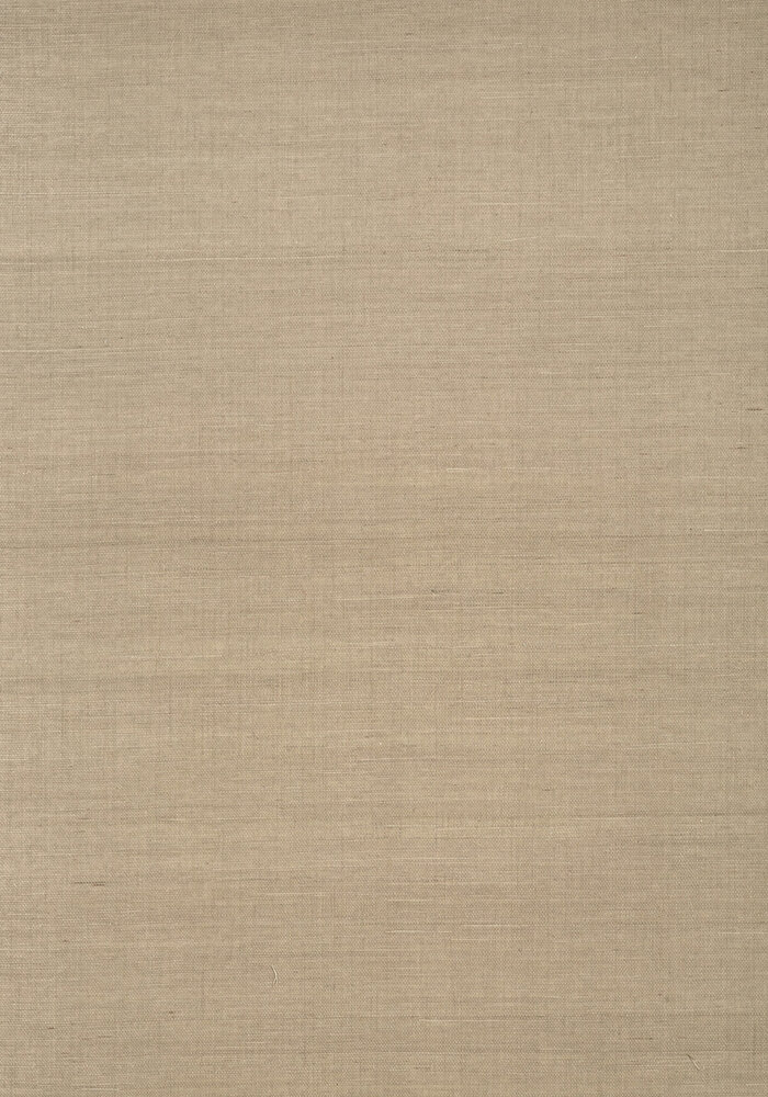 Shang Extra Fine Sisal Behang Thibaut Grasscloth Resource Volume 4 T41160 Linen