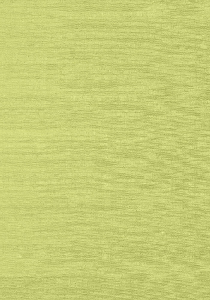 Shang Extra Fine Sisal Behang Thibaut Grasscloth Resource Volume 4 T41181 Green