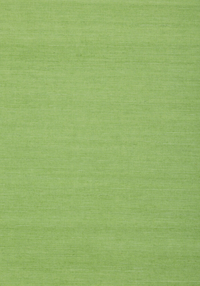 Shang Extra Fine Sisal Behang Thibaut Grasscloth Resource Volume 4 T72832 Kelly Green