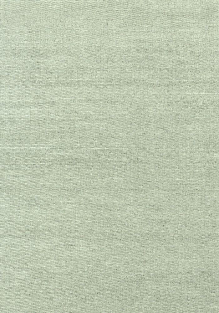 Shang Extra Fine Sisal Behang Thibaut Grasscloth Resource Volume 4 T41192 Teal