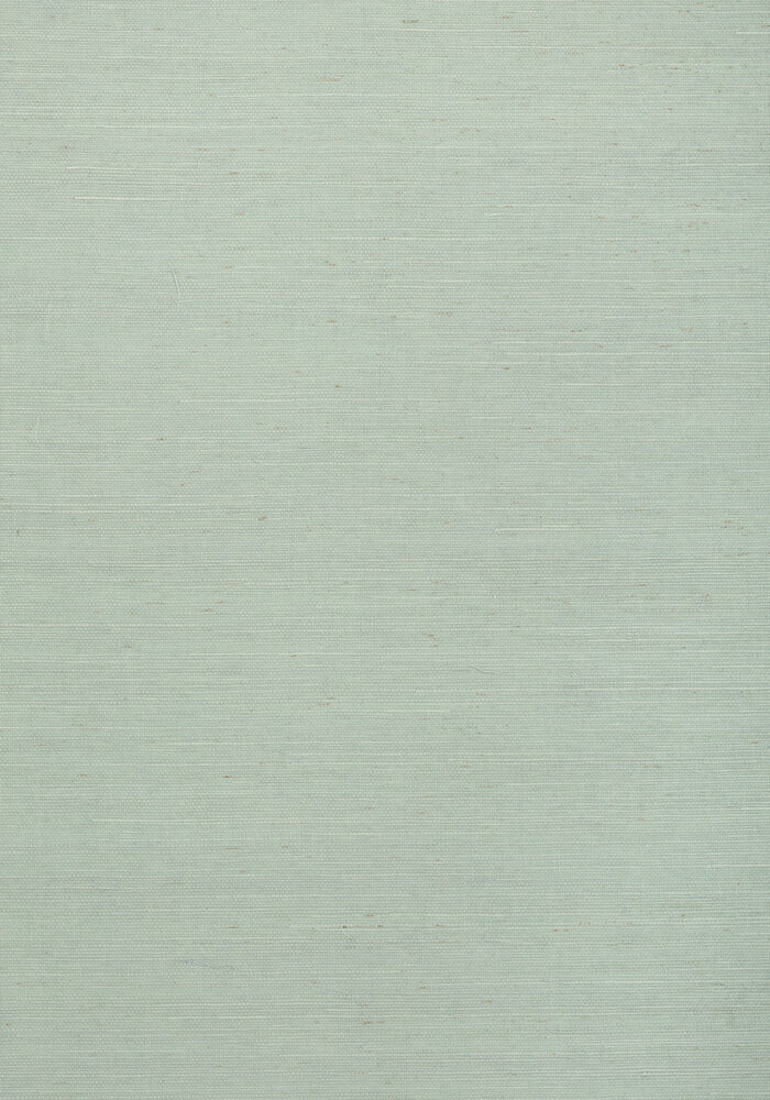 Shang Extra Fine Sisal Behang Thibaut Grasscloth Resource Volume 4 T72834 Sea Mist