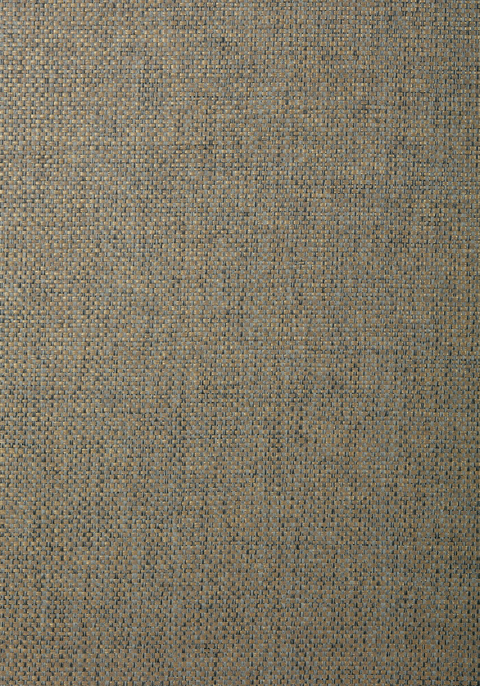 Thibaut Golden Gate Behang T72869 Charcoal