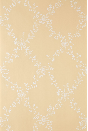 Farrow and Ball Toile Trellis Behang BP644