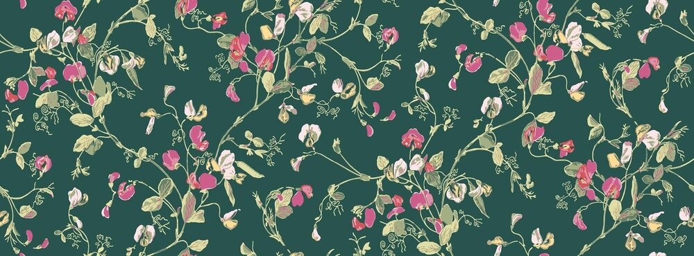 Cole and Son Sweet Pea behang botanical botanica behang 115-11033