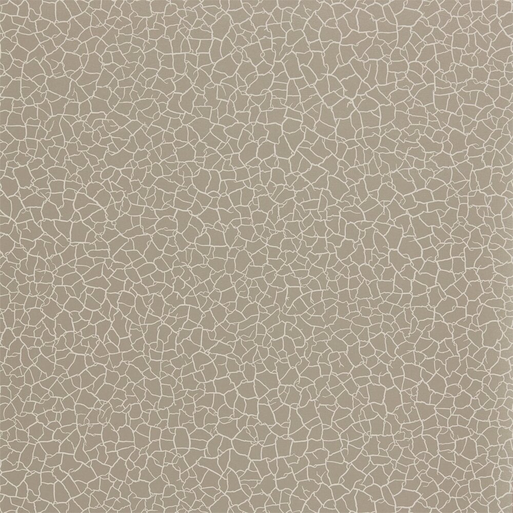 Zoffany Behang Cracked Earth Akaishi Behang Collectie 312528