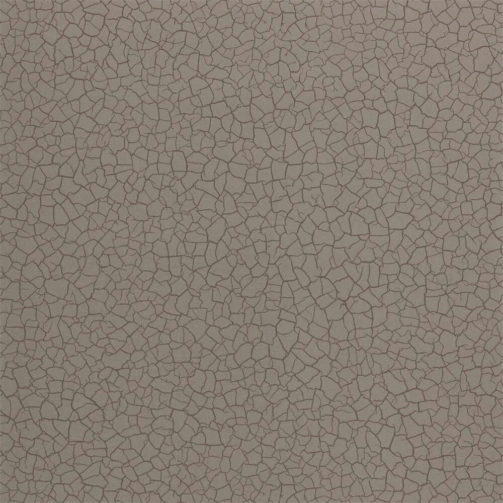 Zoffany Behang Cracked Earth Akaishi Behang Collectie 312527