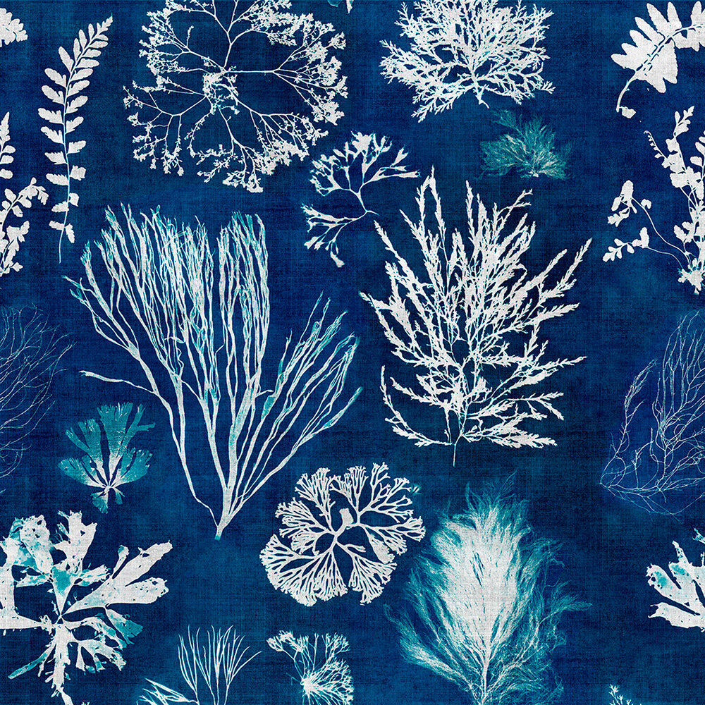 Mind the Gap Algae Behang Navy Blue WP20296