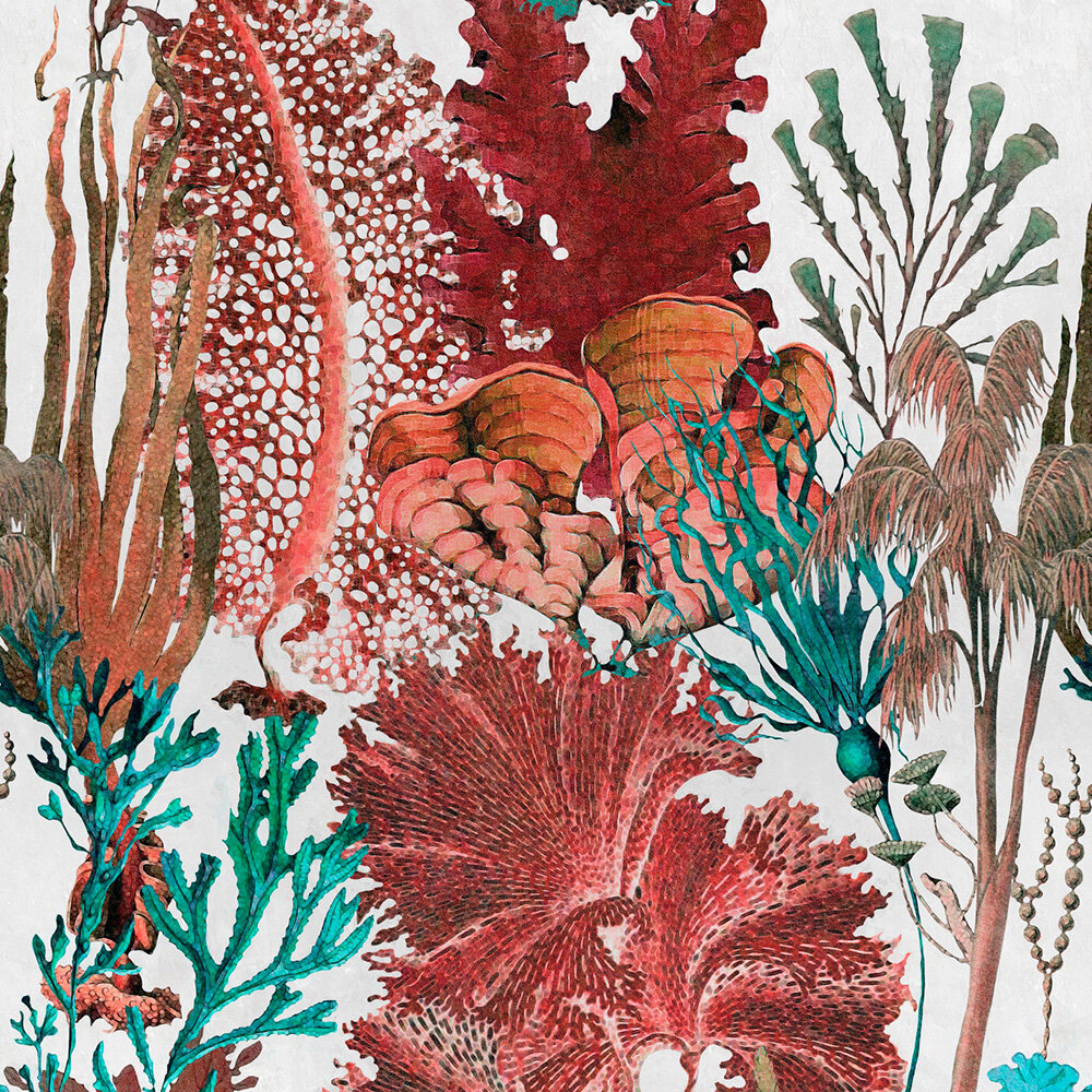 Mind the Gap Coral Reef Behang WP20299