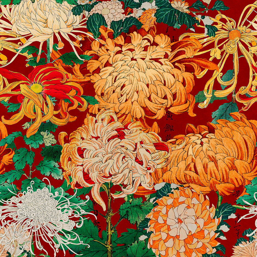 Mind the Gap Chrysanthemums Behang WP20320