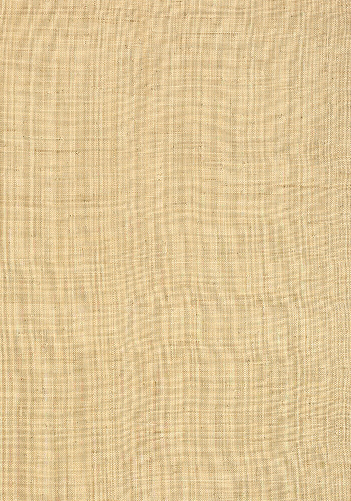 Thibaut Carolina Raffia Behang Grasscloth Resource Volume 3 collectie T13040
