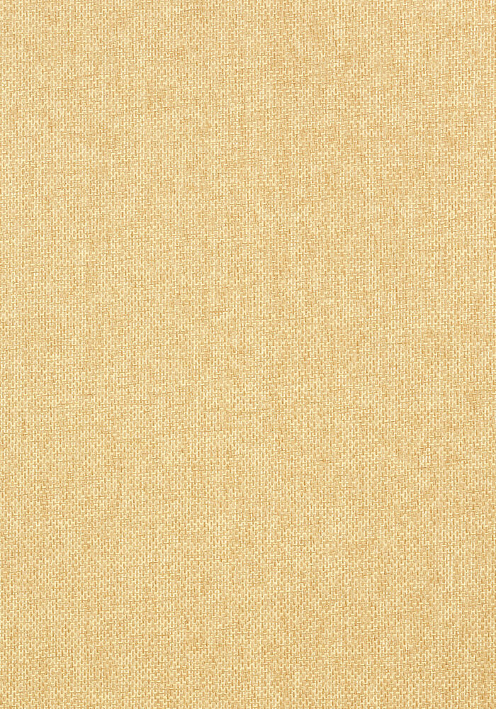 Thibaut Adriatic Behang&nbsp;- Grasscloth Resource Volume 3 collectie&nbsp;T41123