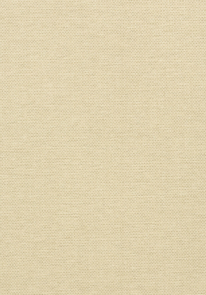 Thibaut Adriatic Behang&nbsp;- Grasscloth Resource Volume 3 collectie&nbsp;T41125