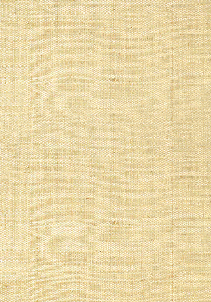 Thibaut Pearl Bay Behang - Grasscloth Resource Volume 3 collectie T41106