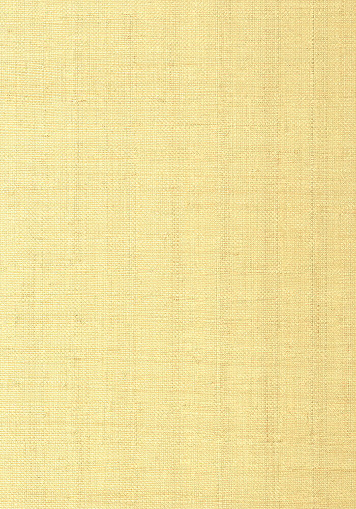 Thibaut Pearl Bay Behang - Grasscloth Resource Volume 3 collectie T41108