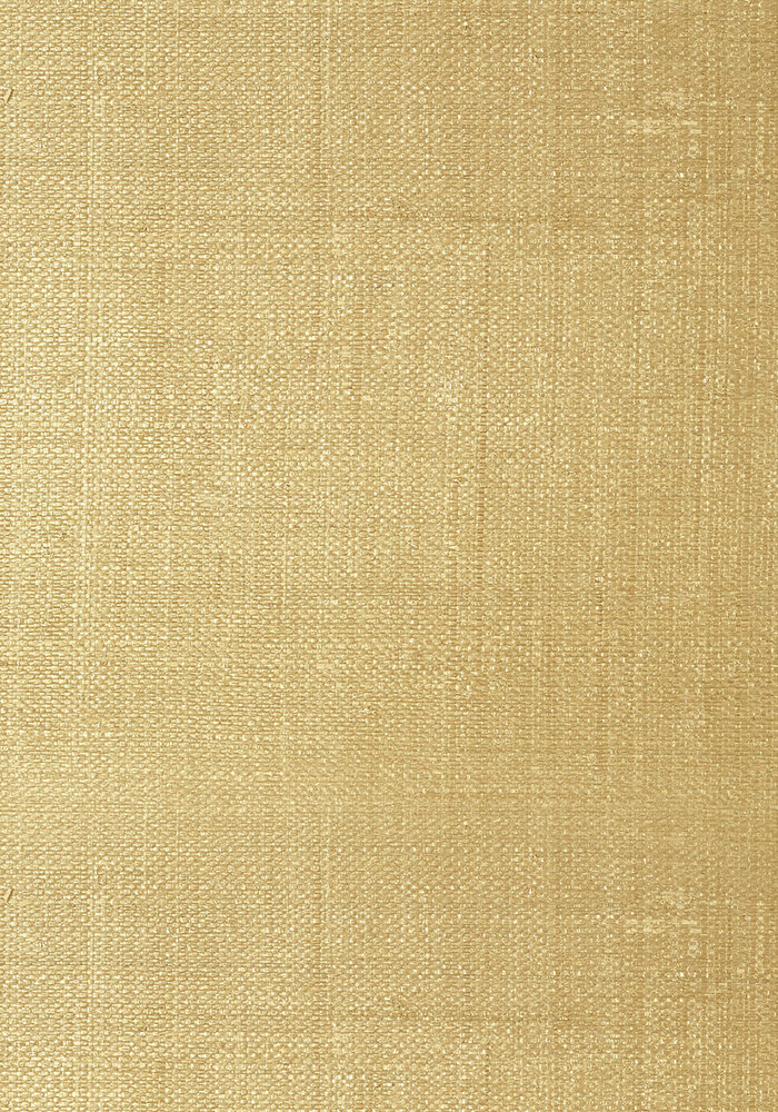 Thibaut Pearl Bay Behang - Grasscloth Resource Volume 3 collectie T41111