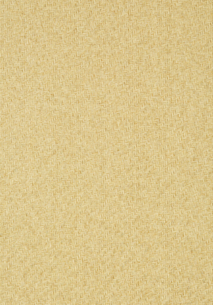 Thibaut Santa Fe Behang - Grasscloth Resource Volume 3 collectie T41189