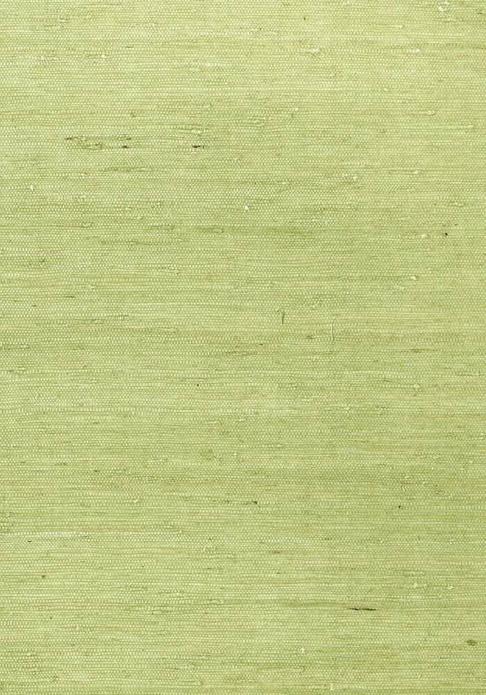 Thibaut Maranta Arrowroot Behang - Greenwood Behang&nbsp;Collectie T85012