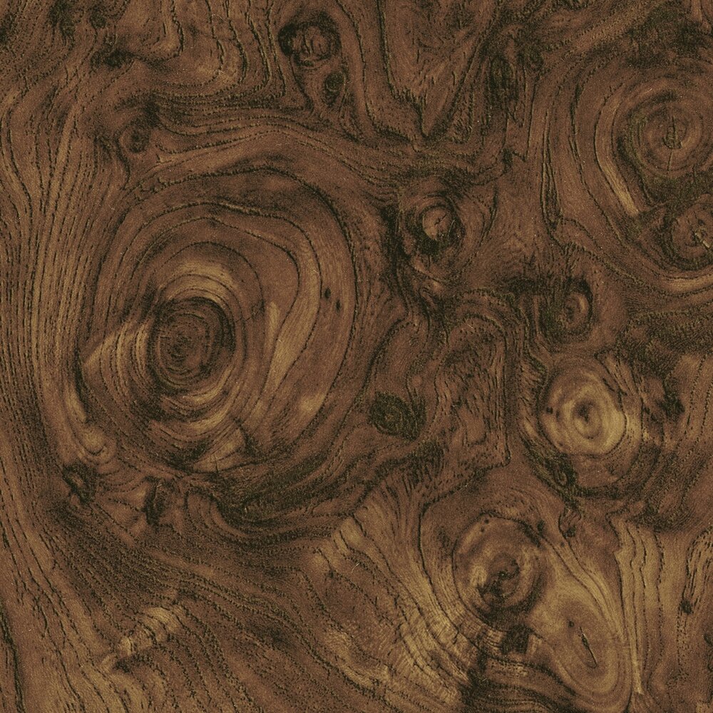 ELITIS Dryades Behang RM_428_70 Essence de bois Collectie