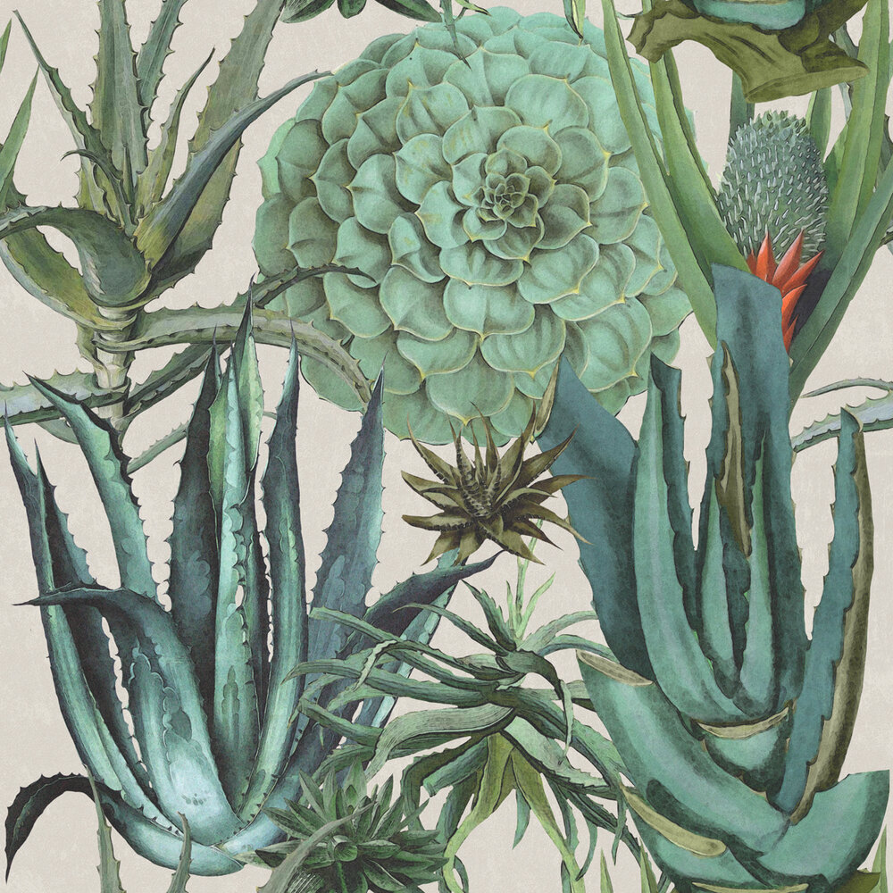 Mind the Gap Succulentus Behang Designer Wallpaper 2017 WP20168