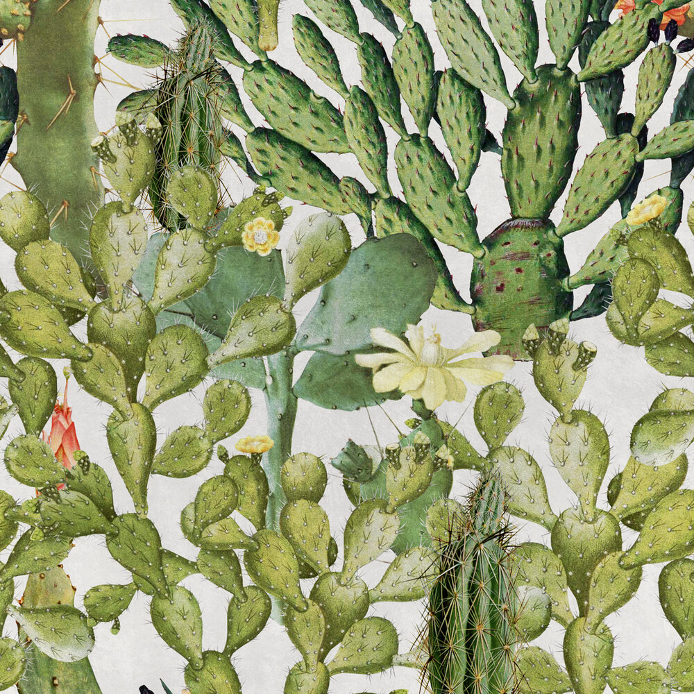 Mind the Gap Opuntia Behang Designer Wallpaper 2017 WP20166