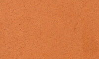 ARTE Noble Behang Wildwalk Collectie&nbsp;28510