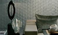 net 5 ladies night behang optredens studio