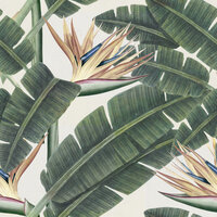 Mind the gap tropical bloom behang WP20096 Tropical-Bloom
