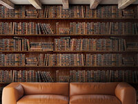 Mind the Gap book shelves boeken behang boekenkast behang wp20112