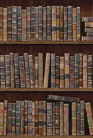 Rol A Mind the Gap Book shelves behang 