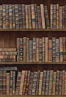 Rol C Mind the Gap Book shelves behang 