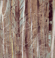 Texam Home Forest Walk Behang rwd22