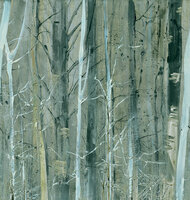 Texam Home Forest Walk Behang rwd28
