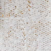 Elitis Laca Salvaje Behang Natural Mood behang collectie