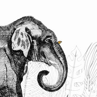 Les Dominotiers Metrozoo behang DOM 147 totaal behangpapier