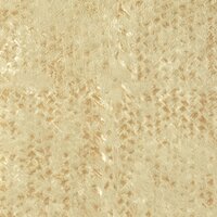 Elitis Laca Salvaje Behang Natural Mood behang collectie VP_916_06