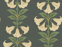 Cole and Son Angel&#039;s Trumpet Behang Seville Collection 117/3006