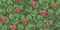 Cole and Son Geranium Behang