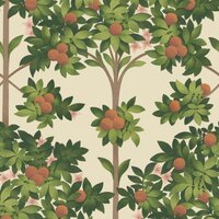 Cole and Son Orange Blossom behang 117-1001 Seville behang collectie