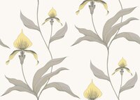 cole and son orchid behang 95/10057 behang never will i ever behang netflix