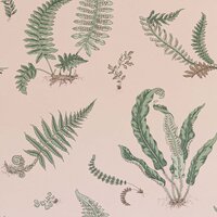 GP &amp; J Baker Ferns Behang Signature Wallpapers 2 BW45044.11