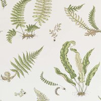 GP &amp; J Baker Ferns Behang Signature Wallpapers 2 BW45044-10
